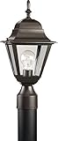 HomeStyle HS71009-125 One Light Medium Post Lantern-Up/ Die Cast in Bronze [並行輸入品]