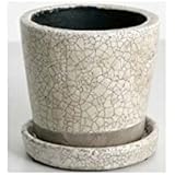 ダルトン(Dulton) カラー グレーズド ポット アイボリー φ12×11cm CH13-G476IV