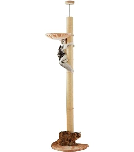 Amazon | おうちで木登りタワーボックス付き (突っ張り型) 猫 ねこ