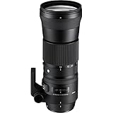 SIGMA 150-600mm F5-6.3 DG OS HSM | Contemporary C015 | Sigma SAマウント | Full-Size/Large-Format