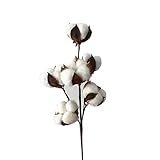 Healifty 34センチメートル6コットンボウルコットンステムの分岐花嫁の花の装飾花嫁の家具のスタイルのディスプレイとウェディングホームオフィスの装飾