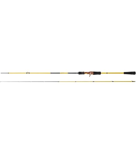 Amazon | 林釣漁具製作所 HAYASHI IZANAI STICK IS-60T 轟き | 林釣