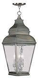 Livex Lighting 2610-29 Exeter 3-Light Outdoor Chain Hang, Bronze by Livex Lighting