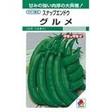 スナップエンドウ 種 【 グルメ 】 種子 小袋（約1dl）