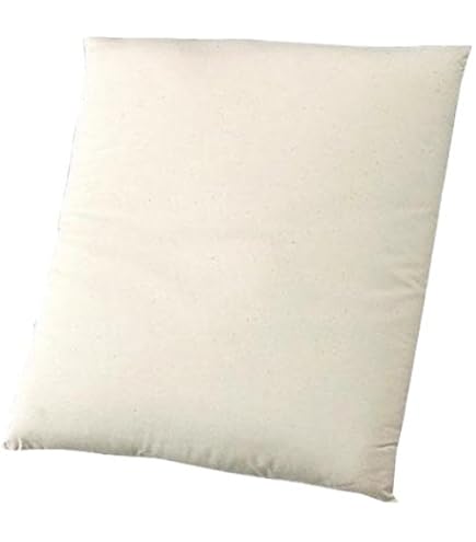 Amazon.co.jp: 国産 ヌード座布団 5枚セット 55x59cmカバー用 「中わた