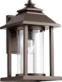 Quorum Lighting - 7272-86 [並行輸入品]