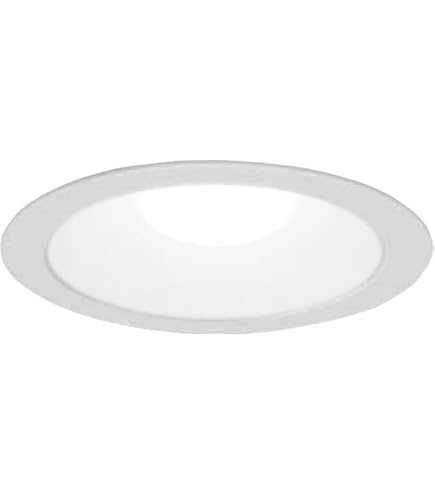 Amazon.co.jp: パナソニック(Panasonic) LEDダウンライト本体 LED