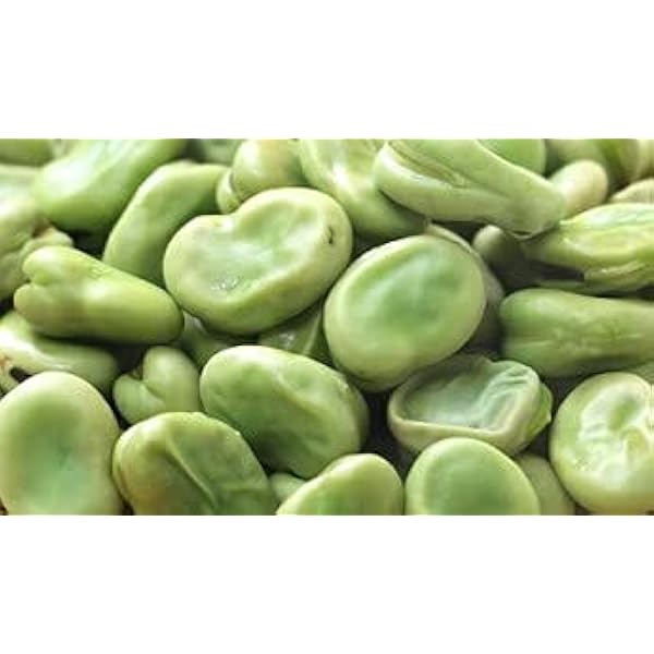 Amazon | 中国産 そら豆 2L 500g 業務用 冷凍 | yayoi Good food