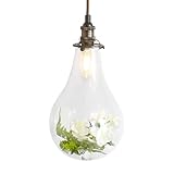 ムーラ mu-ra ペンダントライト LED テラリウム グリーン フラワー ボタニカル ダクトレール可 (Aタイプ) LED電球付属