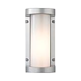1-Light Outdoor Sconce in Matte Silver Finish [並行輸入品]