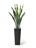 観葉植物 大型 フェイク 造花 ♪【グリーンパーク】FRP H50×サンセベリア＜タイプ：リバーロック/ブラックベース＞♪ インテリアグリーン アーティフィシャル