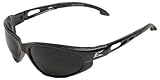 Edge Eyewear SW116AF Dakura Safety Glasses, Black with Smoke Anti-Fog Lens [並行輸入品]