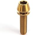 64チタン M5×20mm P=0.8 ワッシャー組込 テーパーヘッド キャップボルト 平座金付き 六角穴付ボルト ゴールド