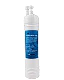 Watts Premier 560087 PH Balancing Ceramic 11-Inch Filter with 3/8-Inch QC Fitting [並行輸入品]