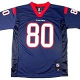 Andre Johnsonヒューストンテキサンズ# 80 NFL Youthミッドティアチームジャージー