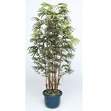 【人工植栽】　タカショー グリーンデコ和風 シュロチク7本立 鉢付　1.8m　GD-128L