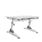 Kid 2 Youth Ergonomic Kid's School Desk, White [並行輸入品]