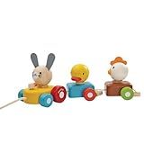 ANIMAL TRAIN SORTER (ASTRA Exclusive) [並行輸入品]