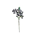 日本ビダヤコム GREEN&BERRIES ブルーベリーピック Z0043 パープル