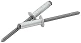 Allstar Performance ALL18105 Silver 3/8 to 1/2 Grip Small Head Rivet (Pack of 250) [並行輸入品]