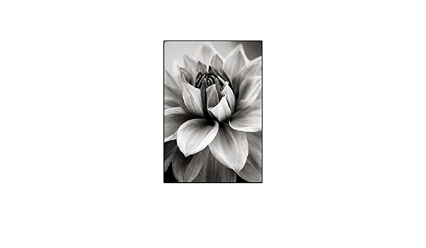Amazon 北欧の抽象的な黒と白の花の壁アートプリント画像キャンバス絵画家の装飾ポスター 60x80cm フレームレス ウォールステッカー オンライン通販