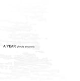 Mule Electronic Presents A Year