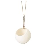 大地農園 天然素材 ゆらゆらベースホワイトカップ (3コ入り) DO076540-011