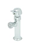 T & S真鍮b-0800-pa Washシンク蛇口、ピボットアクションメータリング、1 / 2インチnpt-f Inlet、ローズスプレー