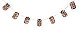Evergreen Copper Lantern Solar Powered String Lights [並行輸入品]