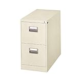 ダイシン工業 ファイリングキャビネット A4-2 77N A4／2段 生活用品 インテリア 雑貨 インテリア 家具 オフィス家具 オフィス収納 top1-ds-1325038-ak [簡易パッケージ品]