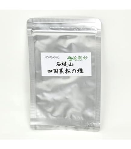 Amazon.co.jp: 遊恵盆栽 ：盆栽種子 イロハモミジ*いろはもみじ 紅葉