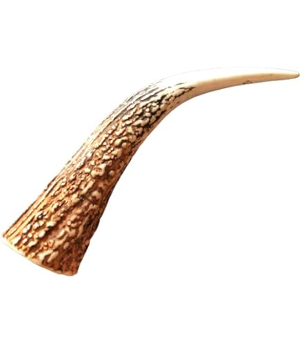 Amazon.co.jp: 鹿の角 エゾシカ 角 大小 約1kg 端材の詰め合わせ