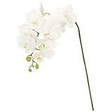 MAGIQ 東京堂 上質な造花  バレリーナファレノM   ホワイト FM000301-001
