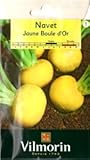 【Vilmorin社種子】【v038】ターニップ・Jaune Boule d'Or