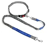 Longfan 犬 リード 伸縮リード 光るリード ハンズフリー 腰ベルト 肩 ショルダー 2頭引き 多頭飼い ランニング 犬用リード 犬のリード (ライトグリーン)