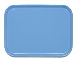橋本達之助工芸 ピノNSトレー39cm角 「Pino-NS-torey」 ブルー