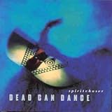 Spiritchaser [12 inch Analog]