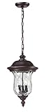 Z-Lite 533CHB-RBRZ Armstrong Outdoor Chain Light, Aluminum Frame, Bronze Finish and Clear Water Glas