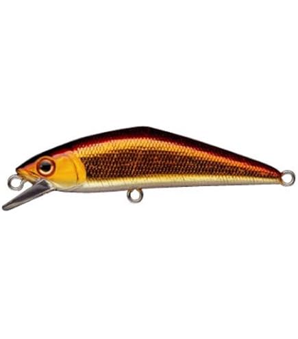 スミスミノー計10個 Amazon.co.jp: スミス(SMITH LTD) ミノー D-コンタクト 72mm 9.5g G