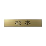 丸三タカギ 彫り込み済表札 アクリル APB2-G-1-1-杉本 【完成品】