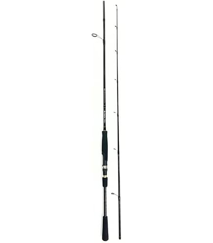 Amazon | お買得品 タコVX2 2.4m (タコ釣り専用竿) | お買得品 | 磯竿