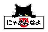 ねこ 猫 ネコ おもしろ パロディー ステッカー玄関や扉、車やバイク等に貼るステッカー 屋外使用に強い品質素材 (にゃめんなよ オッドアイ)