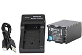NinoLIte 2点セット BP-828 互換 バッテリー + USB型 充電器 キャノン Ivis GX10/ HF G40/G21/G20/G10/M43/M41/XF405/XF400/XA55等用