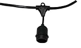 American Lighting ETLS-MS-24-48-BK 48' Commercial Grade Light String, Suspended E26 Base, 24' Spacin