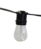 String Light Company ASL4824 Aspen Series 48-Ft String Lights with 24 Light Socket and 24 Clear Bulb