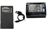 WELLSKY VW-VBK180-K VW-VBK180 互換バッテリー 1個 + VW-BC10 VW-BC10-K [ 超軽量 ] USB Type-C 互換充電器 1個 [ 2個セット ] [ 純正充電器で充電可能 残量表示可能 純正品と同じよう使用可能 ] パナソニック