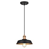 6309000 One-Light Indoor Pendant, Matte Black and Washed Copper Finish with Metallic Bronze Interior