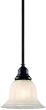 Dolan Designs 649 Single Light Miniペンダント、リッチランドコレクションから 649-30 1