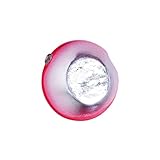 メジャークラフト タイラバヘッド レッドバック 替乃実 200g シルバー/ピンク TM-HEAD200/#3 SILVER/PINK