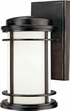 10-1/2-Inch Outdoor Wall Light [並行輸入品]